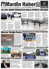 MARDİN HABER