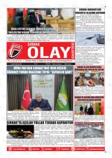 ŞIRNAK OLAY