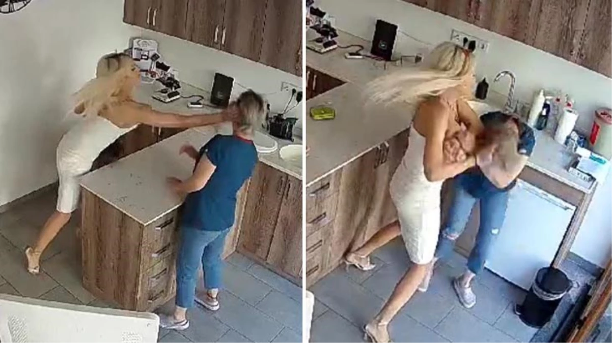 Kedisinin ölümünden sorumlu tuttuğu veteriner hekimi böyle darbetti