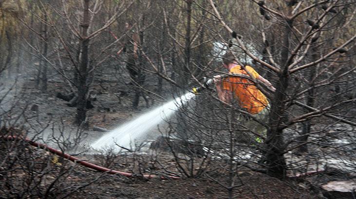 Kazdağları’nda orman yangını! Ekipler sevk edildi