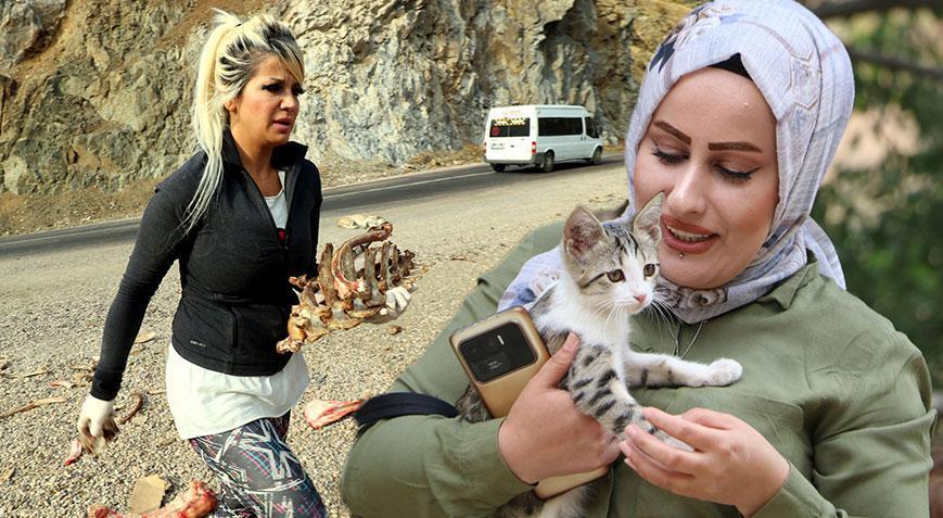 Depremde ölen Eda öğretmenin baktığı sokak köpeklerini Fadime besliyor