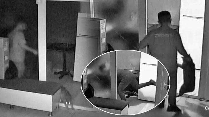 Antalya’da isyan ettiren olay! Çırak, kuaförün kedisine işkence etti