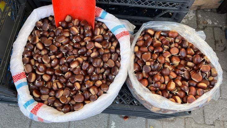 Sinop kestanesi tezgahlarda: Kilosu 250 lira