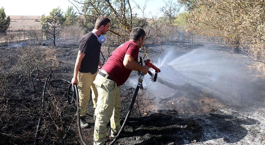 Edirne’de TEM kenarında orman yangını! 10 dönüm alan zarar gördü
