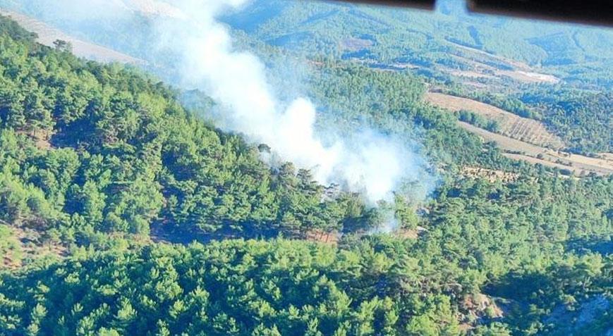 Çanakkale’de orman yangını! Ekipler müdahale ediyor