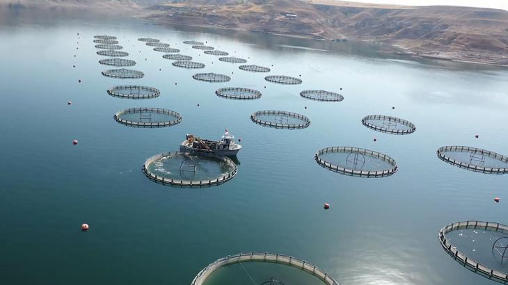 Bakan Yumaklı: İstiridye yetiştiriciliğini için düğmeye basacağız