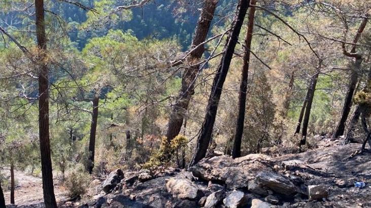 5 gün boyunca süren yangın kontrol altına alındı