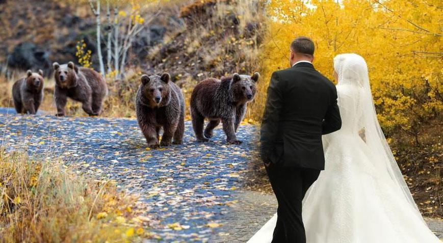 En mutlu günlerini ölümsüzleştirmek istediler! 4 ayı kabusları oldu