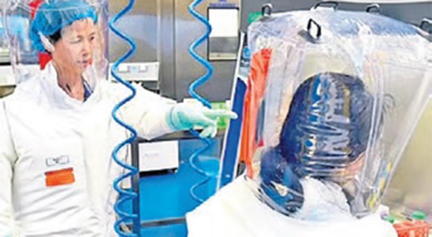 8 yeni virüs bulundu