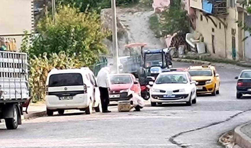 Devrilen kovandan çıkan arılar mahalleyi istila etti! Yaralananlar var