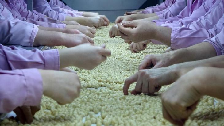 Fındık ihracatında düşüş