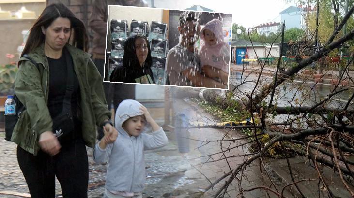 Edirne’de kuvvetli rüzgar: ağaçlar devrildi, çatılar uçtu!
