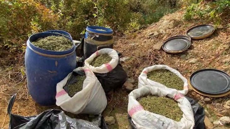 Diyarbakır’da esrar ve kök Hint keneviri operasyonu