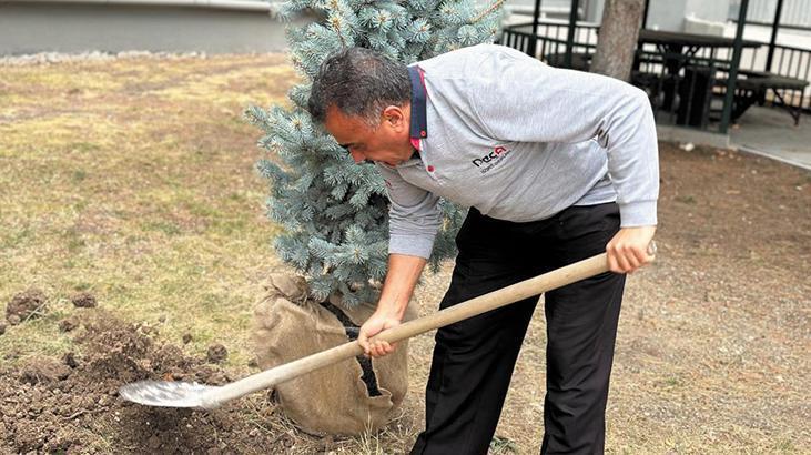Cumhuriyet’in simgesi mavi ladin, Demirören Medya bahçesinde