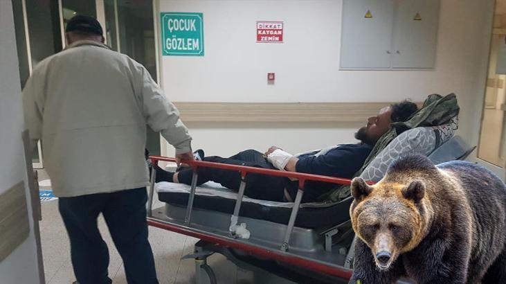 Hayvanlarını otlatırken ayı saldırısına uğradı! 2 kişi ölümden döndü