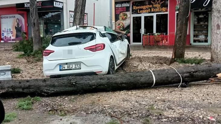 Fırtına ağacı yerinden söktü, otomobilin üzerine devirdi