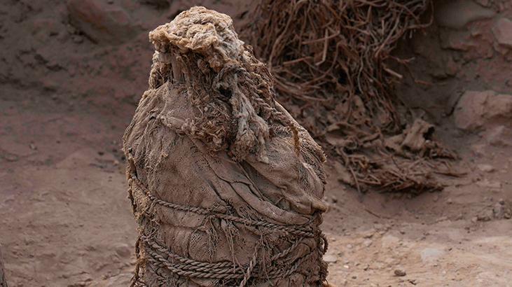 Dört çocuk, bir yetişkin! Tüyler ürperten keşif