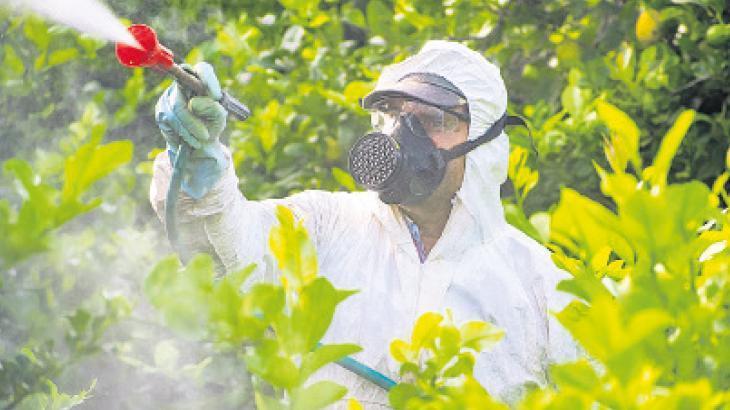 Böcek ilaçları doğurganlığa engel