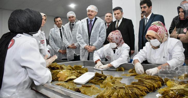 Siirt’te 7 kadının bir araya gelerek 650 bin TL’ye tesis açtı