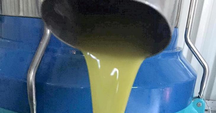 Zeytinyağı üreticileri: Fiyatlar, bu gidişle daha da yükselebilir