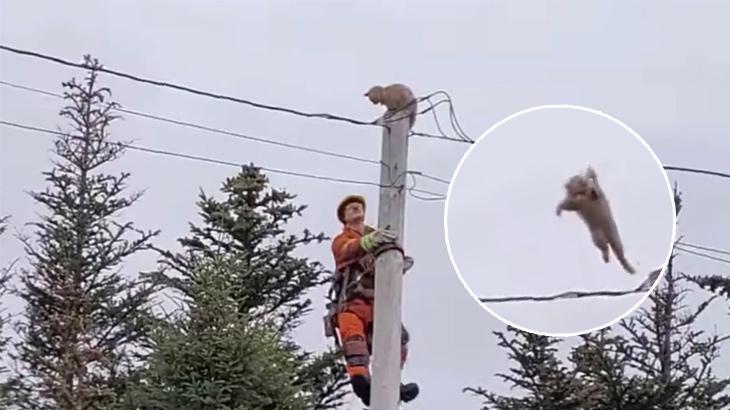 Cesur atlayış! Böylelikle sekiz canı kaldı