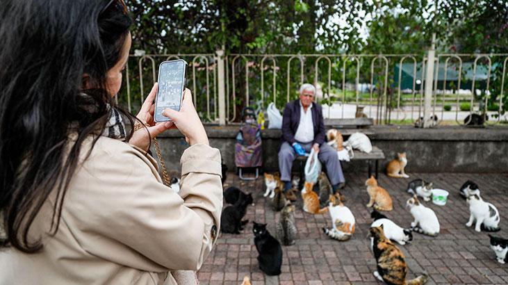 Emekli maaşınla 800 kediyi besliyor: Ben onların babasıyım