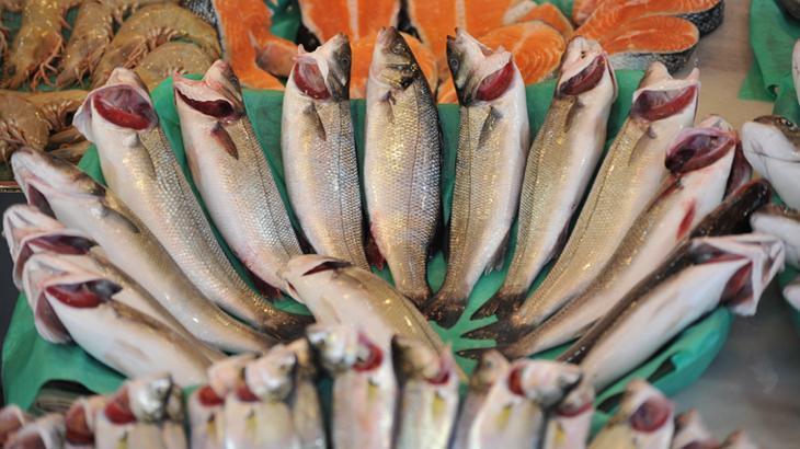 Egeli balıkçıların ihracatı 1 milyar doları aştı