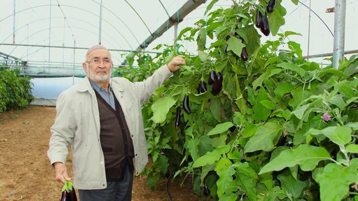 Yazın kilosu 5 liraydı, şimdi 17 liradan satıyor