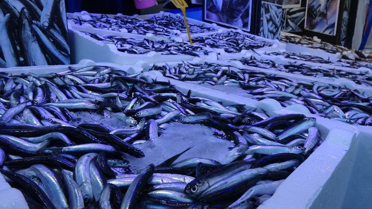 Hamsinin fiyatı ikiye katlandı