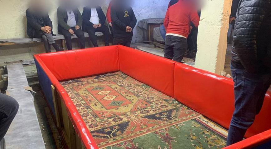 Sonunda bu da oldu! Hayvanları koruma derneğinde horoz dövüştürdüler