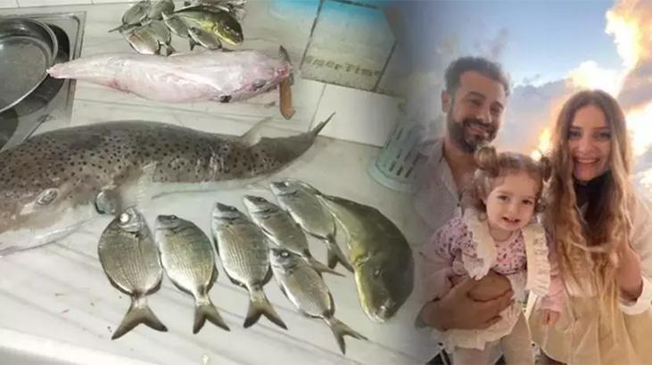 Balon balığı faciası: En zehirlisini yemişler