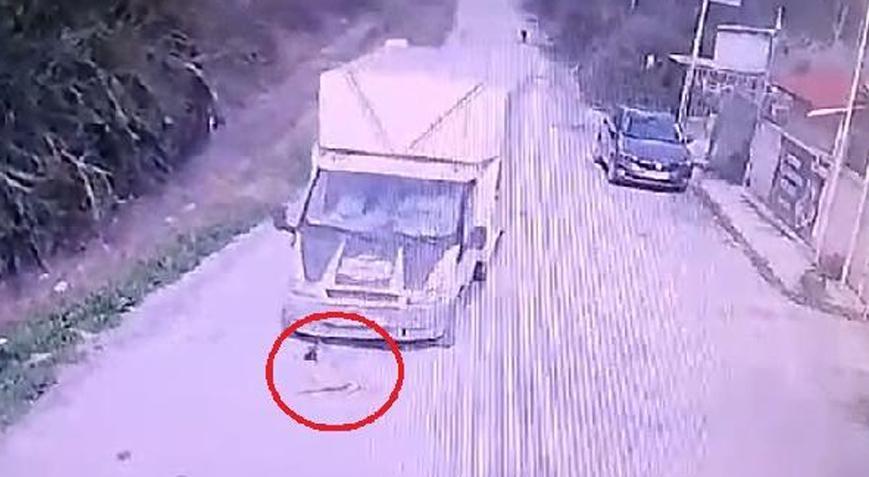 Köpek ‘Mutlu’nun talihsizliği! Bu kez da kamyonet çarptı! O anlar kamerada