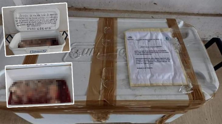 Başlarını kesip soğutucuya doldurdular! Tüyler ürperten tehditle imzaladılar: Sizin de başınıza gelecek