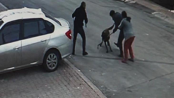 Çocukların çığlığını duyan geldi! Köpek dehşeti: 4 yaralı