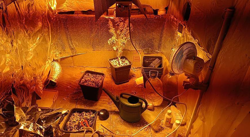 Evinde iklimlendirme sistemi kurup uyuşturucu yetiştiren şüpheli yakalandı