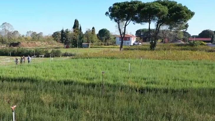 Samsun’a 504 milyon TL’lik orman yatırımı