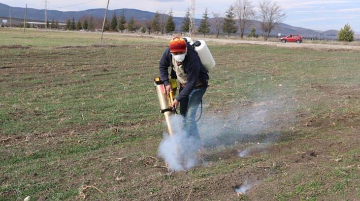 Yer: Afyonkarahisar! Fareler ve böcekler köyleri istila etti
