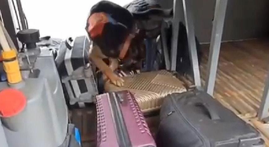 Ankara’da Rodyum ve Paladyum ele geçirildi