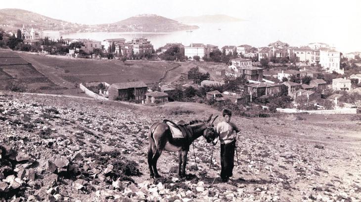 Ada vapuru yandan çarklı