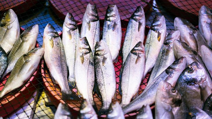 Ton balığında cıva: Araştırmalar zehirli madde seviyesinin hala yüksek olduğunu gösteriyor