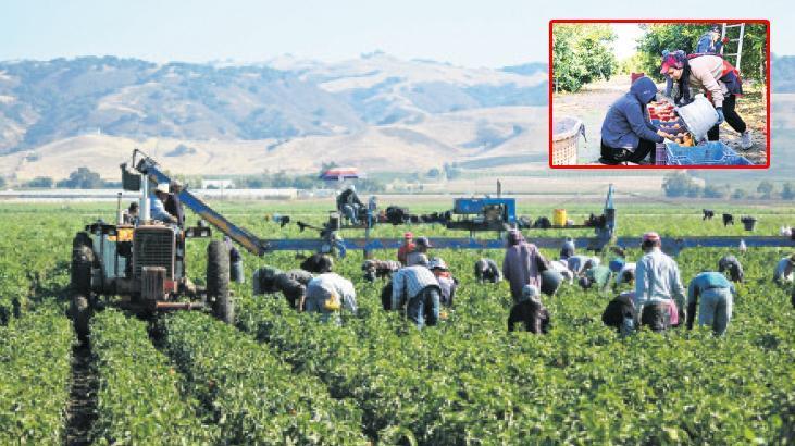Mevsimlik işçileri devlet ağırlayacak