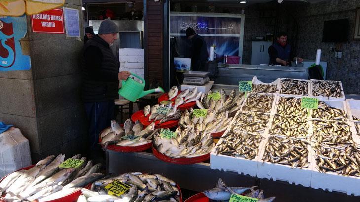 Hamsi sezonu erken kapanıyor