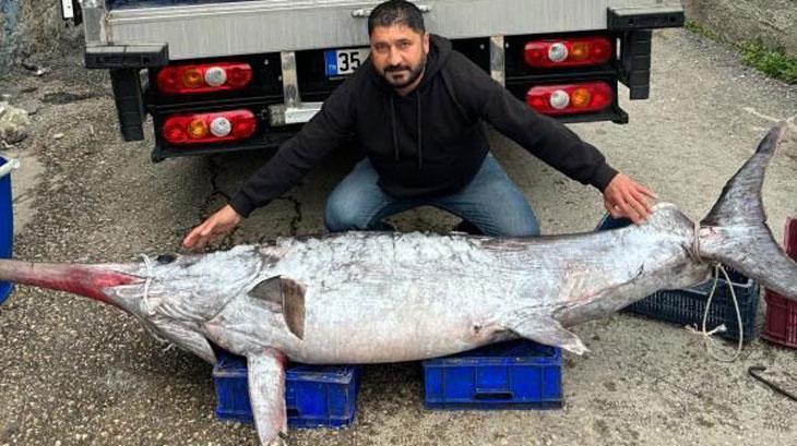 150 kiloluk kılıç balığını 30 bin TL’ye sattı