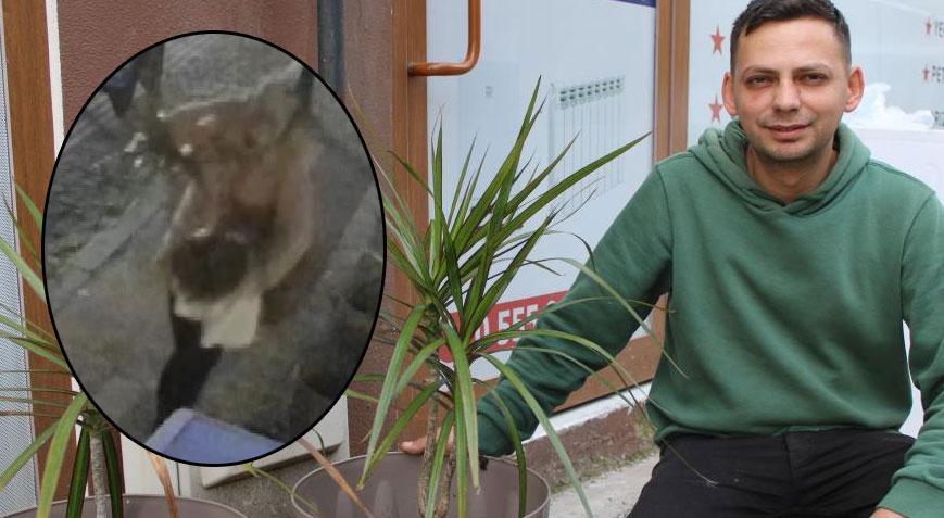 Esnafın çağrısını duydu, çaldığı süs bitkisini geri getirdi