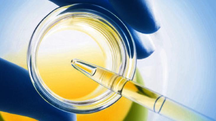 Gıda analizinde ihracat hamlesi