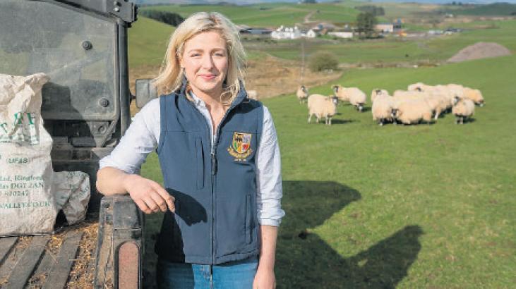 İngiliz Z kuşağı çobanlığa sardı