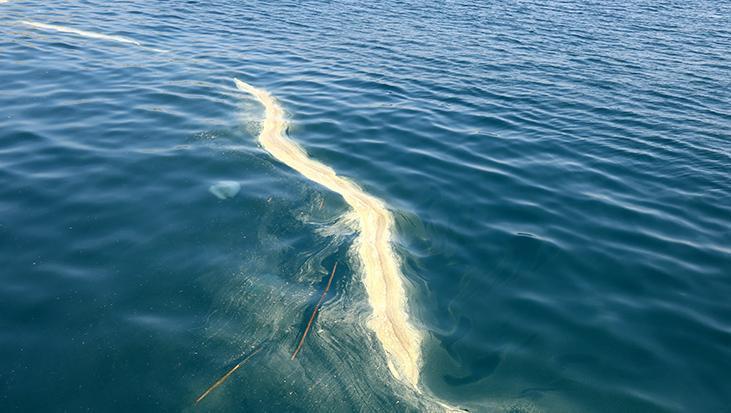 Turizm kenti Antalya’da panik! ‘Rüzgarla taşınarak deniz üzerinde kümeleniyor’