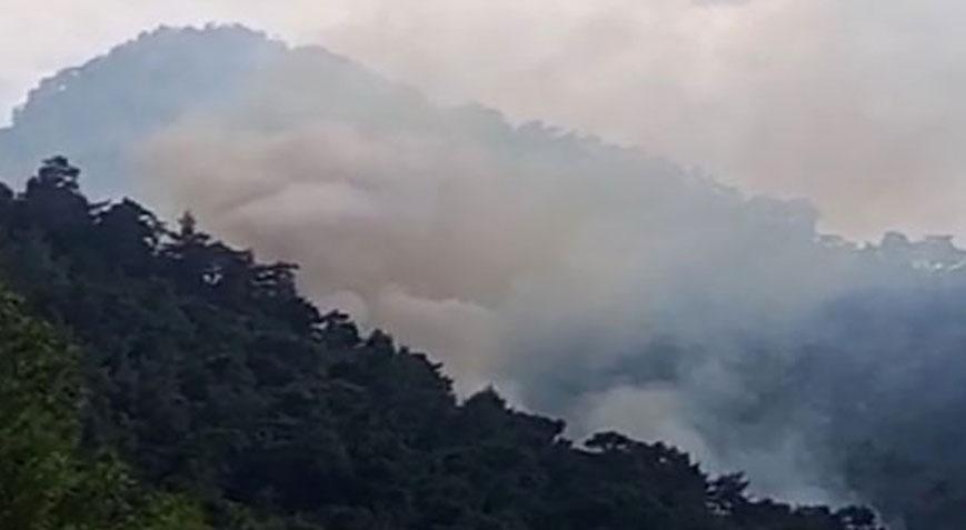 Kemer’de orman yangını! Müdahale devam ediyor