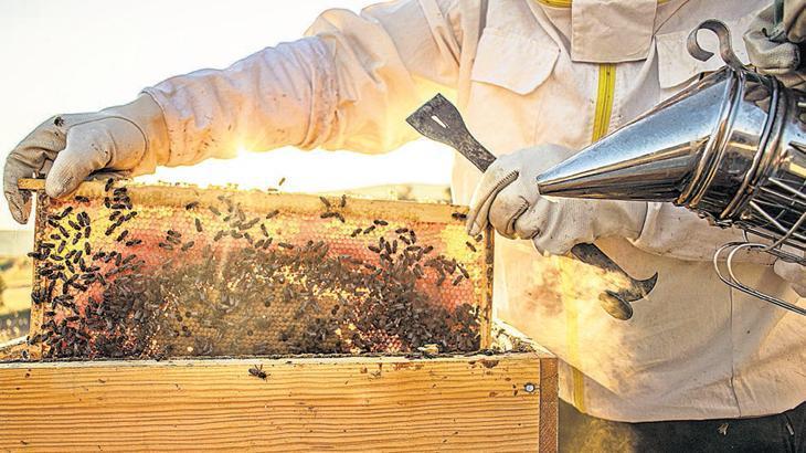 Balda şeker hilesi için AB’den önlem