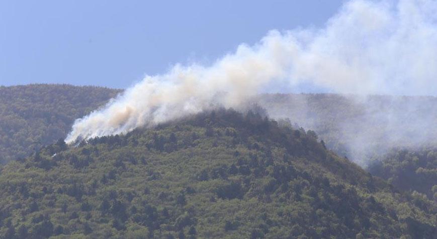 Son dakika… Uludağ’ın eteklerinde orman yangını! Çok sayıda ekip sevk edildi